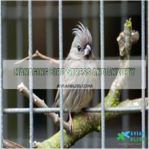 Managing Bird Stress and Anxiety