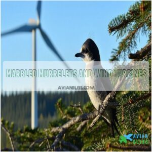 Marbled Murrelets and Wind Turbines