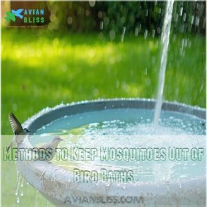 Methods to Keep Mosquitoes Out of Bird Baths