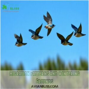 Migration Patterns and Wintering Grounds