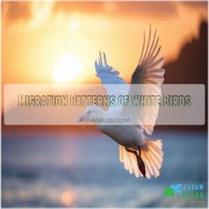 Migration Patterns of White Birds