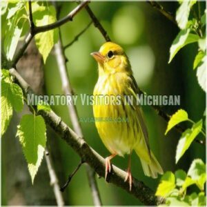 Migratory Visitors in Michigan