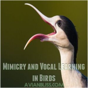 Mimicry and Vocal Learning in Birds