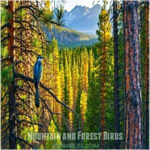 Mountain and Forest Birds