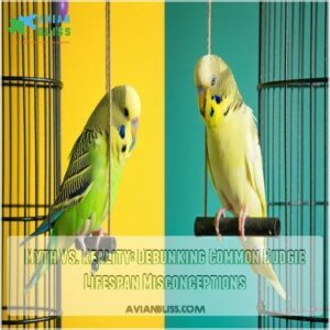 Myth Vs. Reality: Debunking Common Budgie Lifespan Misconceptions