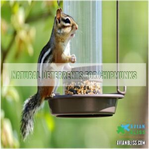 Natural Deterrents for Chipmunks