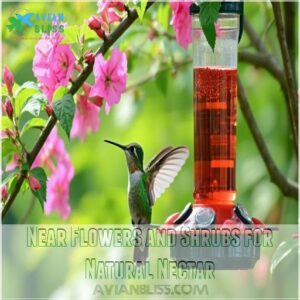 Near Flowers and Shrubs for Natural Nectar