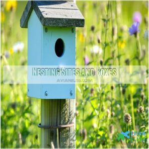 Nesting Sites and Boxes