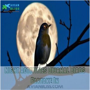 Night Activities Diurnal Birds Partake In