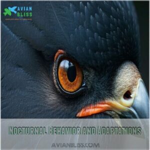 Nocturnal Behavior and Adaptations