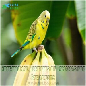 Nutritional Benefits of Bananas for Parakeets