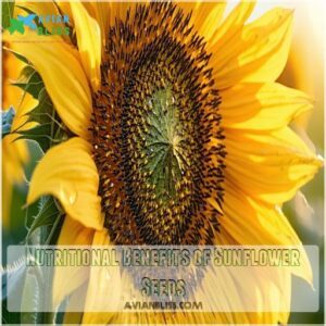 Nutritional Benefits of Sunflower Seeds