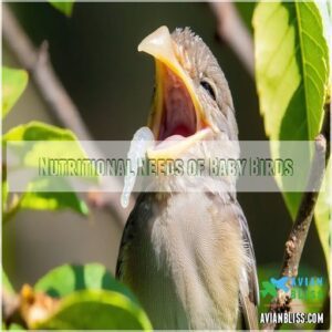 Nutritional Needs of Baby Birds