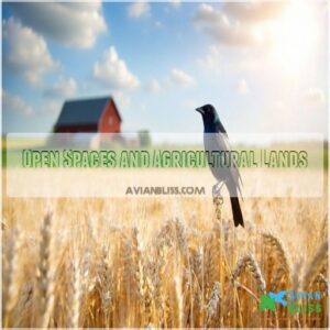 Open Spaces and Agricultural Lands