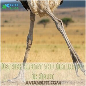 Ostrich Habitat and Diet Impact on Speed