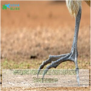 Ostrich Predators and Defense Mechanisms