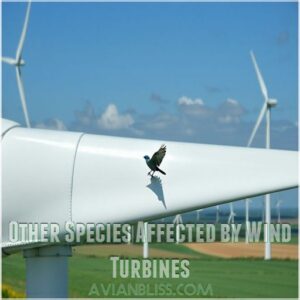 Other Species Affected by Wind Turbines