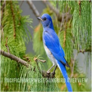 Pacific Northwest Songbird Overview