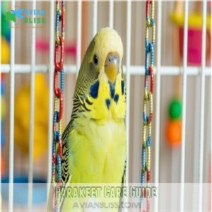 Parakeet Care Guide