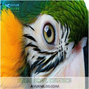 Parrot Fungal Infections