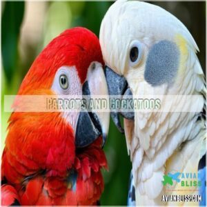 Parrots and Cockatoos