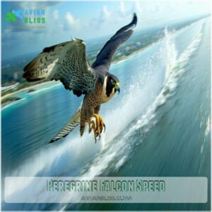 Peregrine Falcon Speed