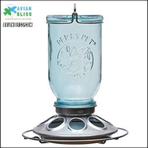 Perky-Pet Mason Jar Wild Bird