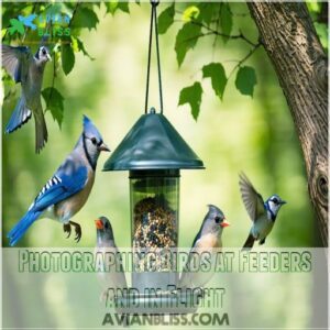 Photographing Birds at Feeders and in Flight