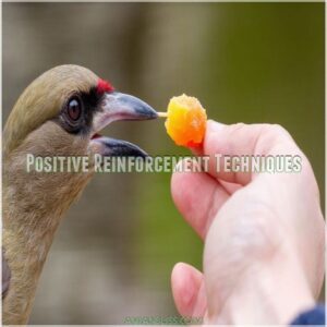 Positive Reinforcement Techniques