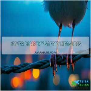 Power Company Safety Measures