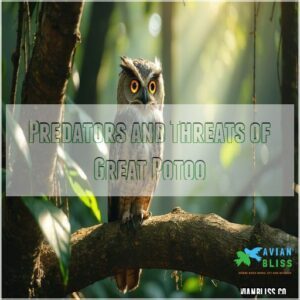 Predators and Threats of Great Potoo