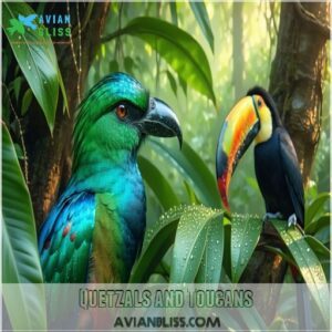 Quetzals and Toucans