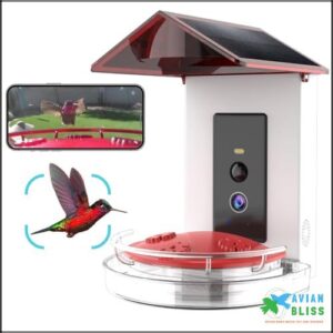 Quick Setup Smart Solar Hummingbird