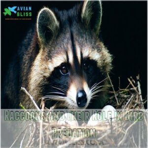 Raccoons and Their Role in Bird Predation