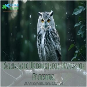 Rare and Uncommon Owls of Florida