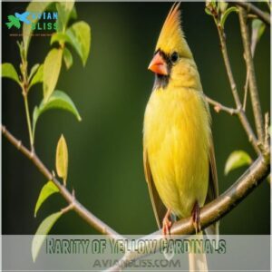 Rarity of Yellow Cardinals