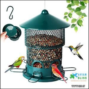 Removable Base Wild Bird Feeder