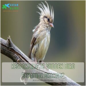 Responding to Sudden Bird Behavior Changes