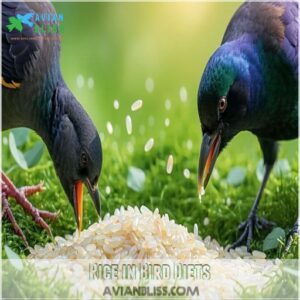 Rice in Bird Diets