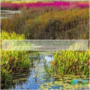 Riparian and Wetland Birds