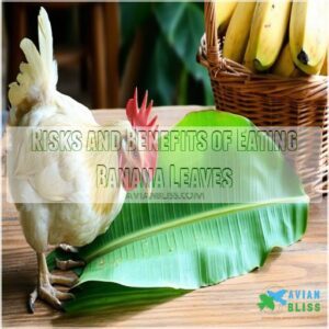 Risks and Benefits of Eating Banana Leaves