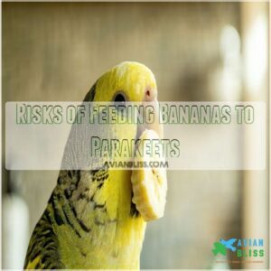 Risks of Feeding Bananas to Parakeets