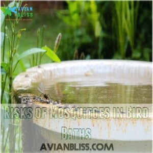 Risks of Mosquitoes in Bird Baths