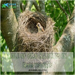 Role of Bird Habitats in Ecosystems