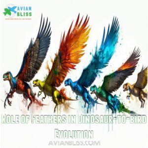 Role of Feathers in Dinosaur-to-bird Evolution