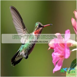 Ruby-Throated Hummingbird