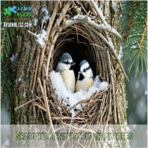 Seasonal Behavior of Chickadees