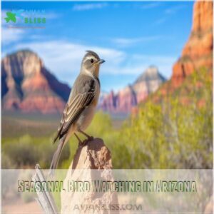 Seasonal Bird Watching in Arizona