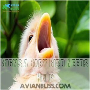 Signs a Baby Bird Needs Help