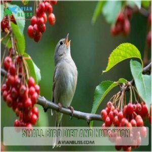 Small Bird Diet and Nutrition